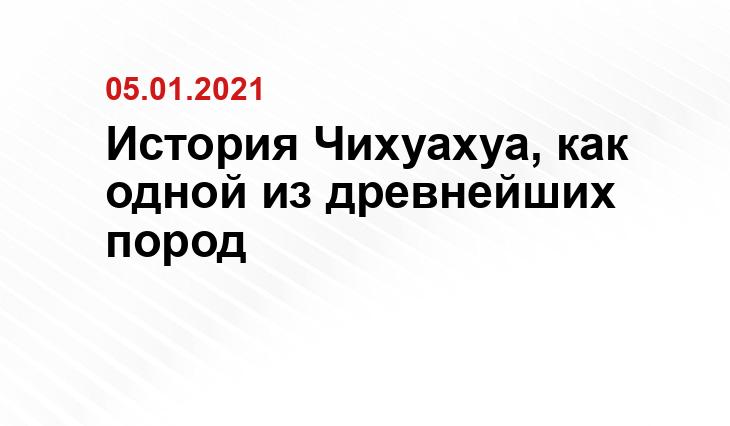 pikabu.ru