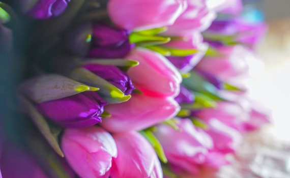 Стоимость букета в России ниже средней мировой цены Стоимость букета в России ниже средней мировой цены