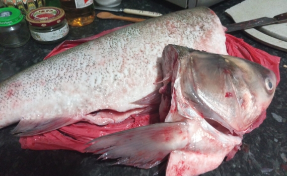 Пирог с рыбой и рисом: любимая начинка из прошлого — как в детстве у бабушки Пирог с рыбой и рисом: любимая начинка из прошлого — как в детстве у бабушки