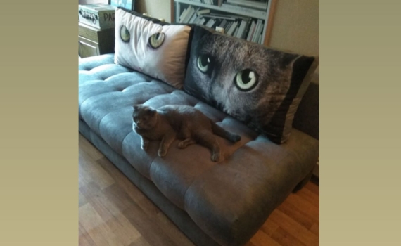 Ваша спальня мешает вам выспаться? 14 деталей, которые в этом виноваты — стоит от них избавиться Ваша спальня мешает вам выспаться? 14 деталей, которые в этом виноваты — стоит от них избавиться