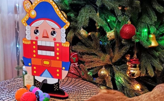 10 лучших пород собак для пенсионеров: спокойные, преданные и не требующие марафонов 10 лучших пород собак для пенсионеров: спокойные, преданные и не требующие марафонов